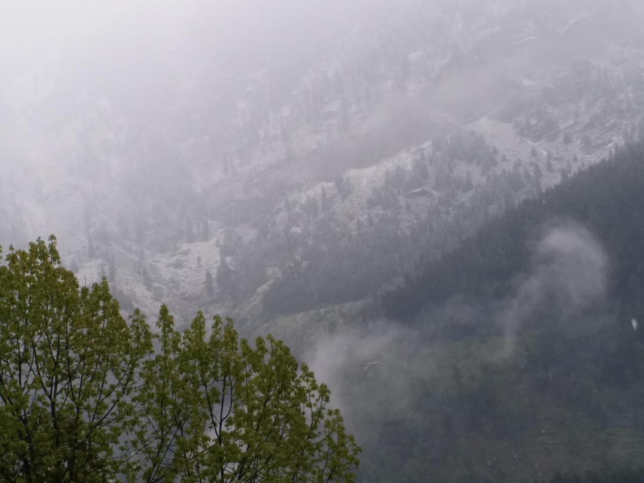 Hotel Seven Hills Manali Eksteriør billede